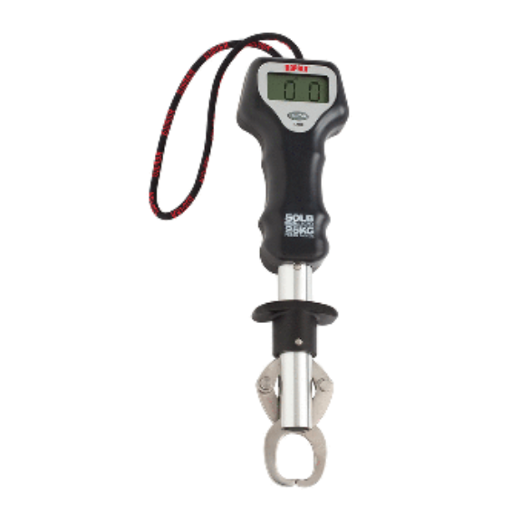 Scale fish gripper